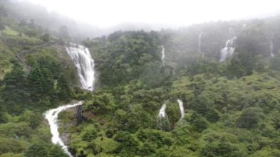 寻找沙漠珍宝